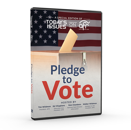 Picture of Pledge to Vote