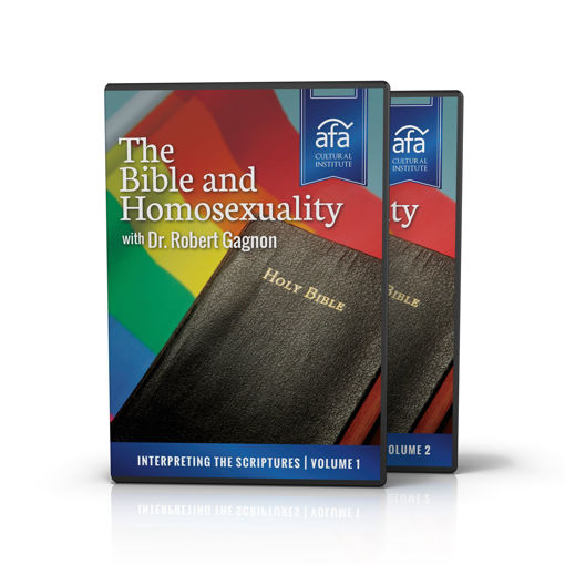 Picture of Cultural Institute: The Bible and Homosexuality Series by Dr. Robert Gagnon