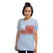Picture of 250 Years of Freedom Flag T-Shirt