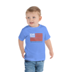 Picture of 250 Years of Freedom Flag T-shirt - Infant, Toddler, & Youth Sizes