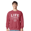 Picture of Life at Conception Sweatshirt