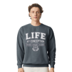 Picture of Life at Conception Sweatshirt